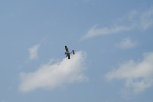 DSC02633